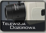 Telewizja dozorowa